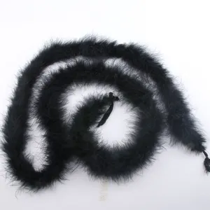 Detailed close-up view of a black fluffy feather boa, showing soft texture and fine details.