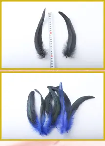 Natural rooster tail feathers detail shot, 20-25cm length, perfect for DIY crafts and decor.