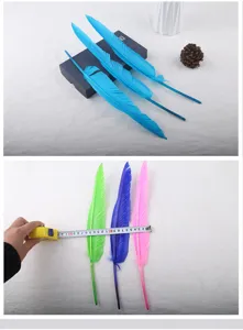 Χρωματιστά υλικά χειροτεχνίας φτερών DIY, φτερά χήνας για αξεσουάρ και φτερούγες.
