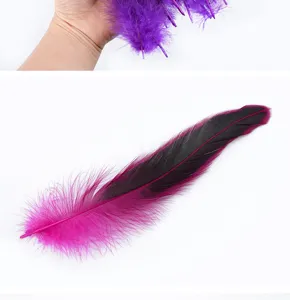 Vista detallada de plumas de gallo coloridas, degradado rosa y negro vivo para manualidades.