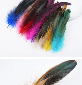 Vista detallada de plumas de gallo coloridas para manualidades DIY y juguetes de gatos.