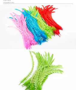 Gros plan detaille de plumes de queue de coq colorees et taillees pour accessoires d'artisanat DIY.
