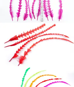 Plumes de queue de coq coupées artisanat DIY coloré chapeau vêtement accessoires