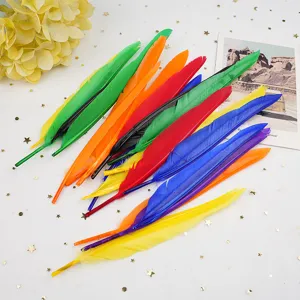Πολύχρωμα DIY φτερά χειροτεχνίας για γαμήλια διακόσμηση, μοναδικά αξεσουάρ και έργα τέχνης.