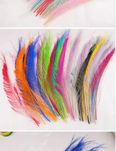 Colorful peacock sword feathers 25-35cm for DIY crafts, floral arrangements and cat toys.
