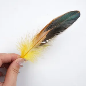 Plumas de gallo coloridas para manualidades DIY, tocados y decoración de juguetes.