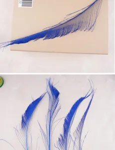 Blue peacock sword feathers detail view, ideal for DIY floral arrangements and crafts.