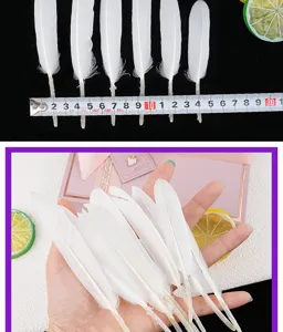 Weißes Federn Detailansicht, perfekt für DIY Handwerk, Dekoration und Bekleidungszubehör.