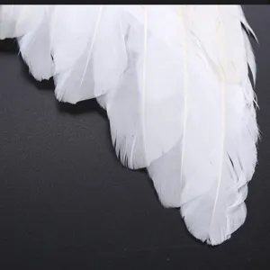 Ailes d'Ange en Plumes Blanches Accessoire de Costume Plumes d'Oie Fait Main pour Enfants Spectacle de Scène Fête de Mariage Cosplay
