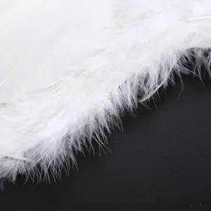 Ailes d'ange en plumes blanches pour spectacle de scène, fête costumée d'enfants et cosplay.