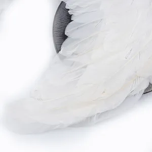 Ailes d'ange en plumes blanches accessoire pour spectacle de scene, cosplay et costume de fete.
