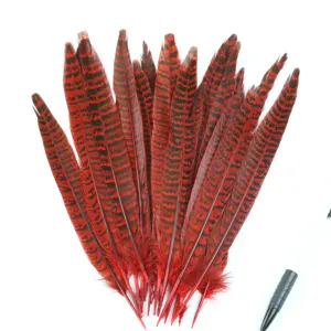 Natürliche Fasanenschwanzfedern rot gefärbt DIY Handwerk Bühne Performance Dekor Zubehör