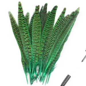 Grün gefärbte Fasanenfeder Bündel für DIY Handwerk und Bühnenperformance Dekoration Zubehör.