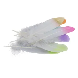Plumes de bricolage DIY degradees colorees pour accessoires de vetements et bijoux.