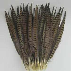 Plumes de Queue de Faisan Naturelles Matériel d'Artisanat DIY Plumage Teint Coloré Pour Performance de Scène Fête de Mariage Accessoires de Décoration Intérieure