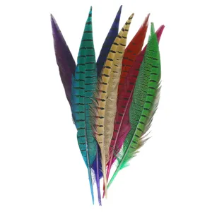 Plumes de queue de faisan colorées et teintes pour artisanat DIY et décor de scène.