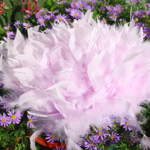 Plumes de dinde rose duveteuses pour loisirs créatifs et superbe décoration d'artisanat