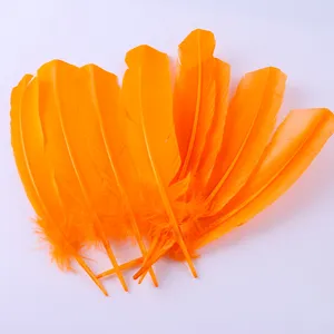 Vibrante orange Bastelfedern für DIY-Handwerk, Heimdekoration und kreative Kunstprojekte.