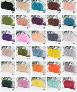 Vista detallada de los flecos de plumas de avestruz, carta de colores del 51 al 80.