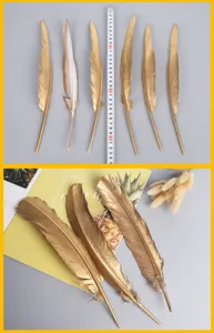 Gold decorative feathers for DIY crafts, clothing accessories, and home window displays.