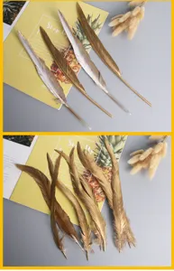 Gold spray painted feathers detail view for DIY crafts wing costume and home decor display.
