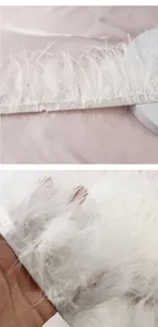 Weißer Federrand Detail Nahaufnahme, flauschige Strauß Putenfedern für DIY Handwerk.
