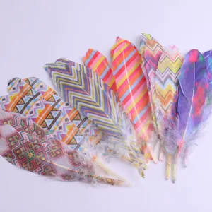 Bunte bedruckte Bastelfedern DIY Modeaccessoires Kleidung Dekoration Artikel mehrfarbig.