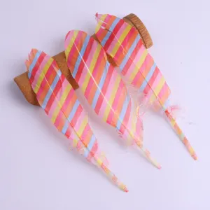 Bunte gestreifte Bastelfedern für DIY Kleidung, Schmuckaccessoires und kreative Dekoration.