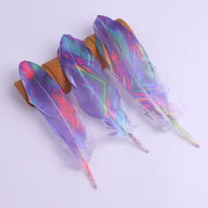 Bunte Farbverlauf Bastelfedern Detailansicht, ideal für DIY Kleidung, Schmuck und Heimdekoration.