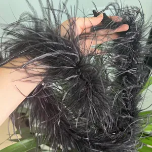 Schwarze Straussenfeder Boa Detailansicht, perfekt für Kleider und Basteldekorationsarbeiten.