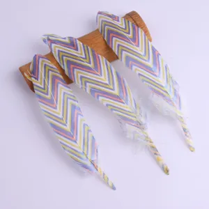 DIY bunte bedruckte Bastelfedern für Bekleidungszubehör und schöne DIY Dekoration.