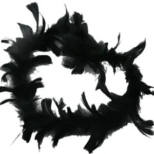 Décoration de boa en plumes noires pour fête, anniversaire, gâteau, bricolage DIY et ailes.