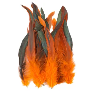 Colorful Rooster Tail Feathers With Metal Clips DIY Crafts Cat Teaser Toy Party Wedding Home Decoration Materials