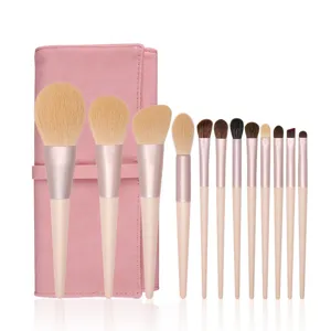 12-piece makeup brush set with a pink storage bag, soft bristles for professional face and eye makeup.