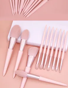 Detailed view of 11 piece pink makeup brush set including powder and eyeshadow brushes.