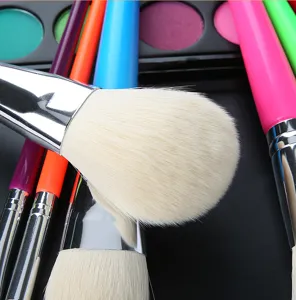 Gros plan sur le kit de pinceaux de maquillage arc-en-ciel aux poils doux et manches colorés.