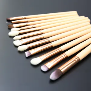 12pcs Professional Eye Makeup Brush Set Blending Eyeshadow Brushes Cosmetic Tool Kit