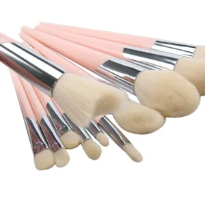 Professional pink makeup brush set with soft bristles and silver tubes for face and eye makeup.