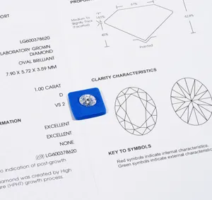 IGI Labor gezüchteter Diamant loser Stein Oval Brillant Schliff 1 Karat D Farbe VS2 Reinheit Edelstein