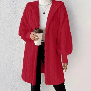 Women's Casual Coral Fleece Hooded Long Sleeve Loose Coat Solid Color Winter Warm Pocket Outerwear Daily Streetwear