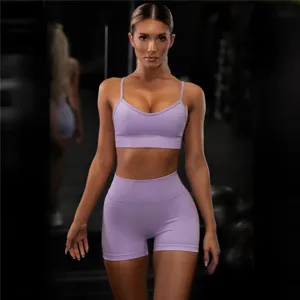 Vista dettagliata del set fitness senza cuciture in lilla chiaro, reggiseno sport.