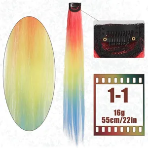 Detail view of rainbow gradient clip-in hair extension, showing texture, 55cm length and 16g weight.