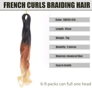Extension di capelli treccia riccia francese sintetici uncinetto 2 pezzi 45cm