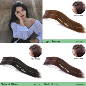 Synthetic straight hair extension piece 30cm long with two clips in multiple natural colors.