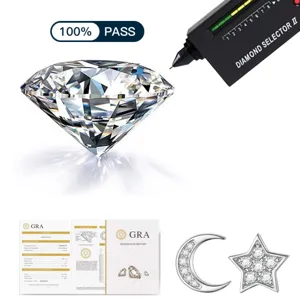 S925 Silber Platinbeschichtet Moissanit Stern Mond Ohrringe Minimalistische Ohrstecker