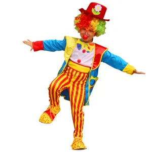 Gedetailleerd overzicht kinder clown kostuum, kleurrijke outfit met pruik en gestreepte broek.