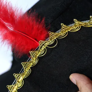 Close-up detail of kids pirate hat with gold trim and red feather for Halloween party costume.