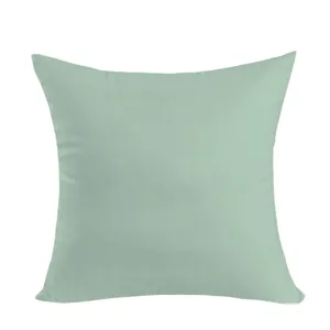 Detailed close-up view of the Nordic solid color throw pillow cover in soft mint green.