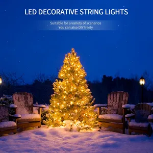 Outdoor LED string lights glowing warmly on a snowy pine tree, perfect for holiday decor.