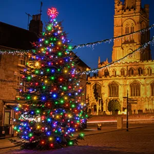Vista notturna dettagliata di luci LED colorate impermeabili per esterni su un grande albero di Natale.